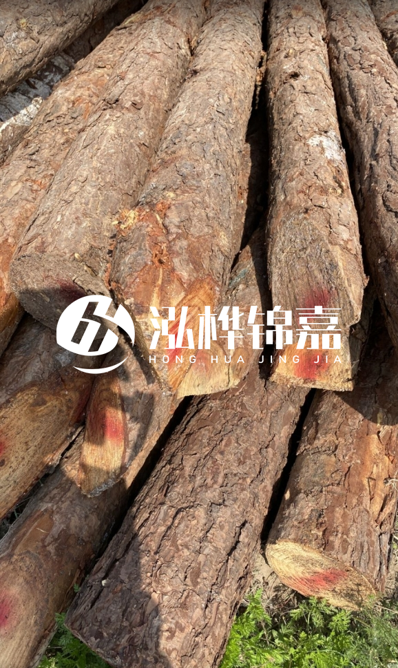 <strong>松木樁和杉木樁的用途區(qū)別？哪個更適合打樁用？</strong>
