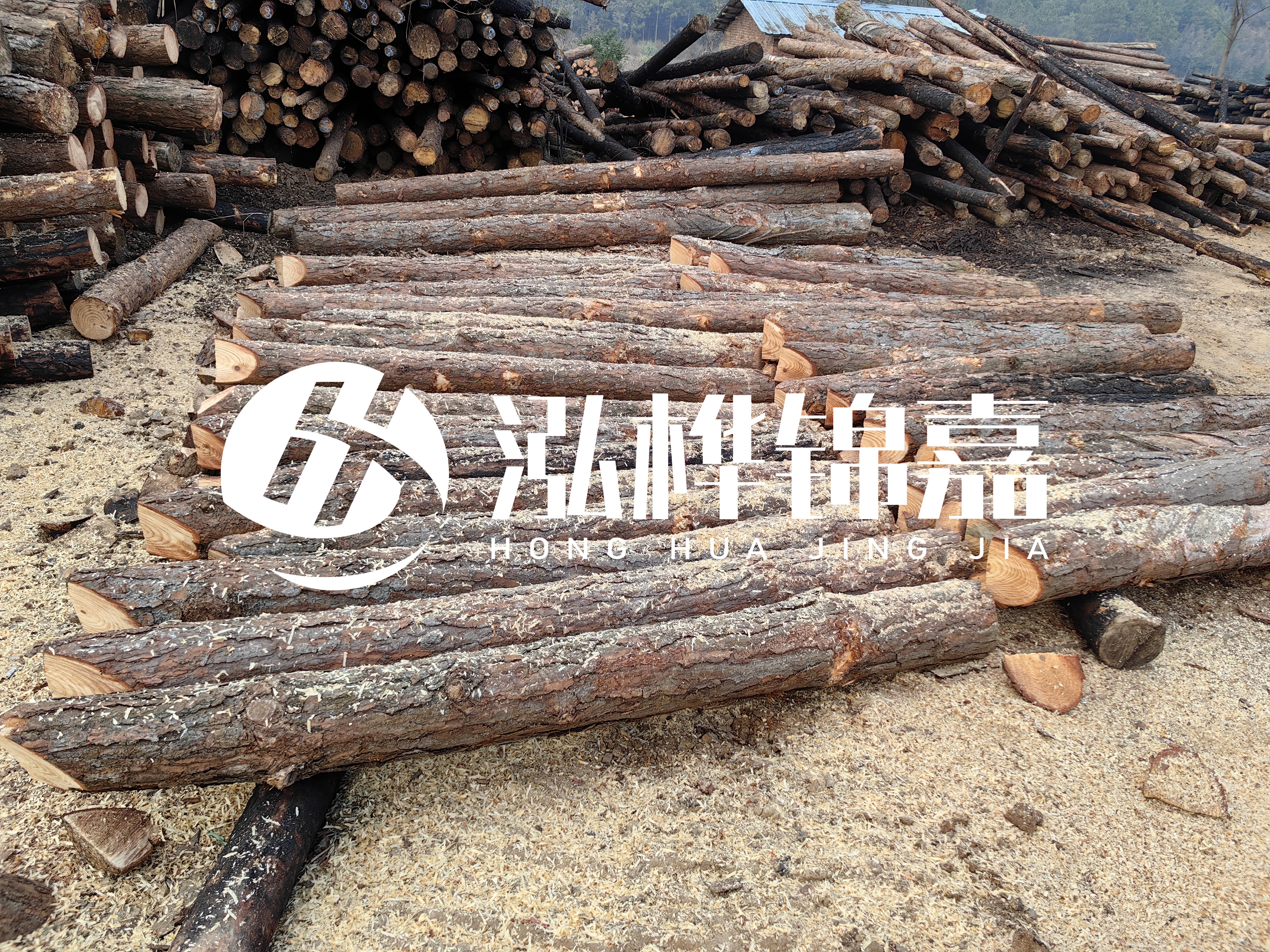 河道打樁木重復(fù)利用嗎？