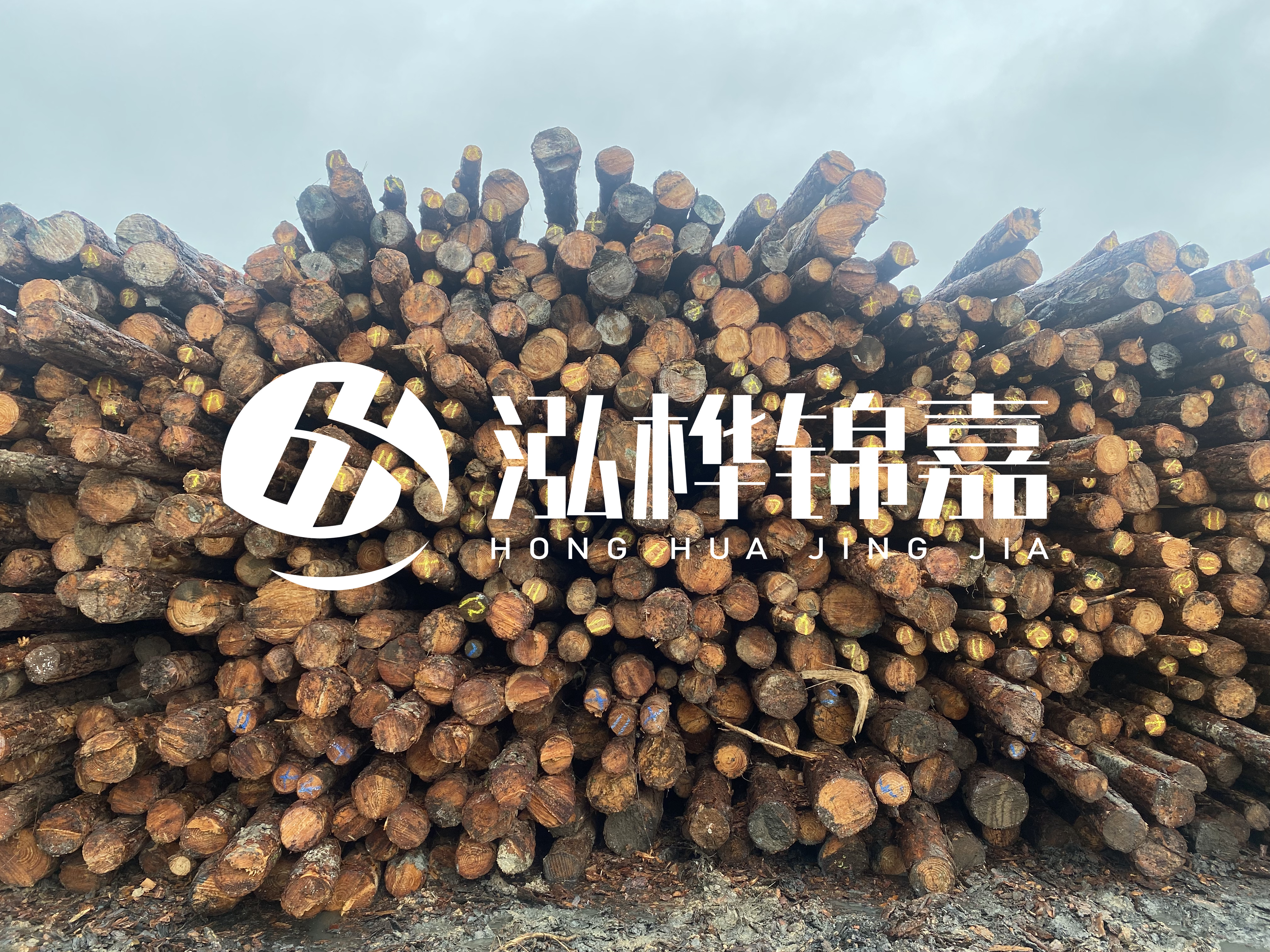 松木樁的直徑一般取多少？