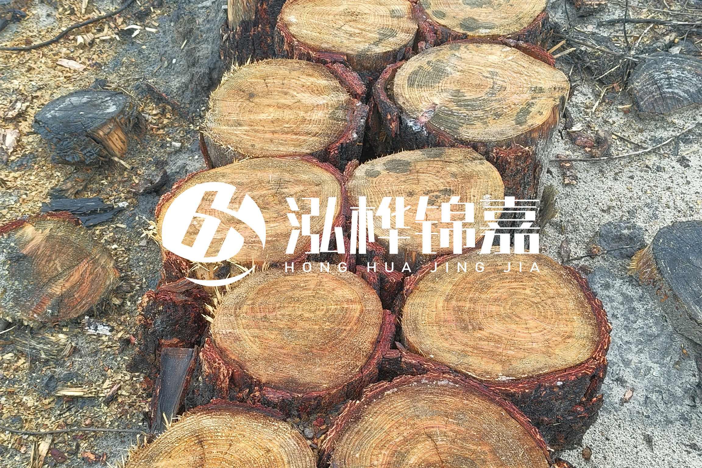 浙江臺州有清淤的公司嗎？浙江臺州有清淤施工隊嗎？