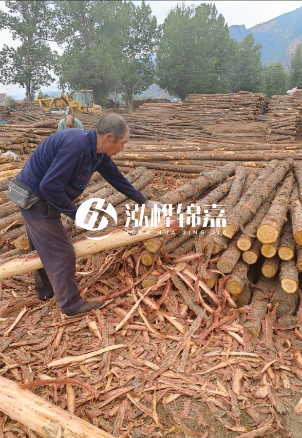 東營河道清淤專業(yè)施工隊-不同型號挖機清淤能力對比？