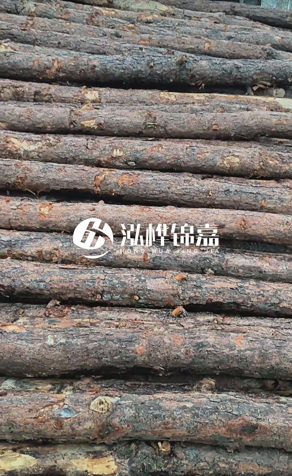陽(yáng)江松木樁源頭廠家-哪一種打樁木最便宜？