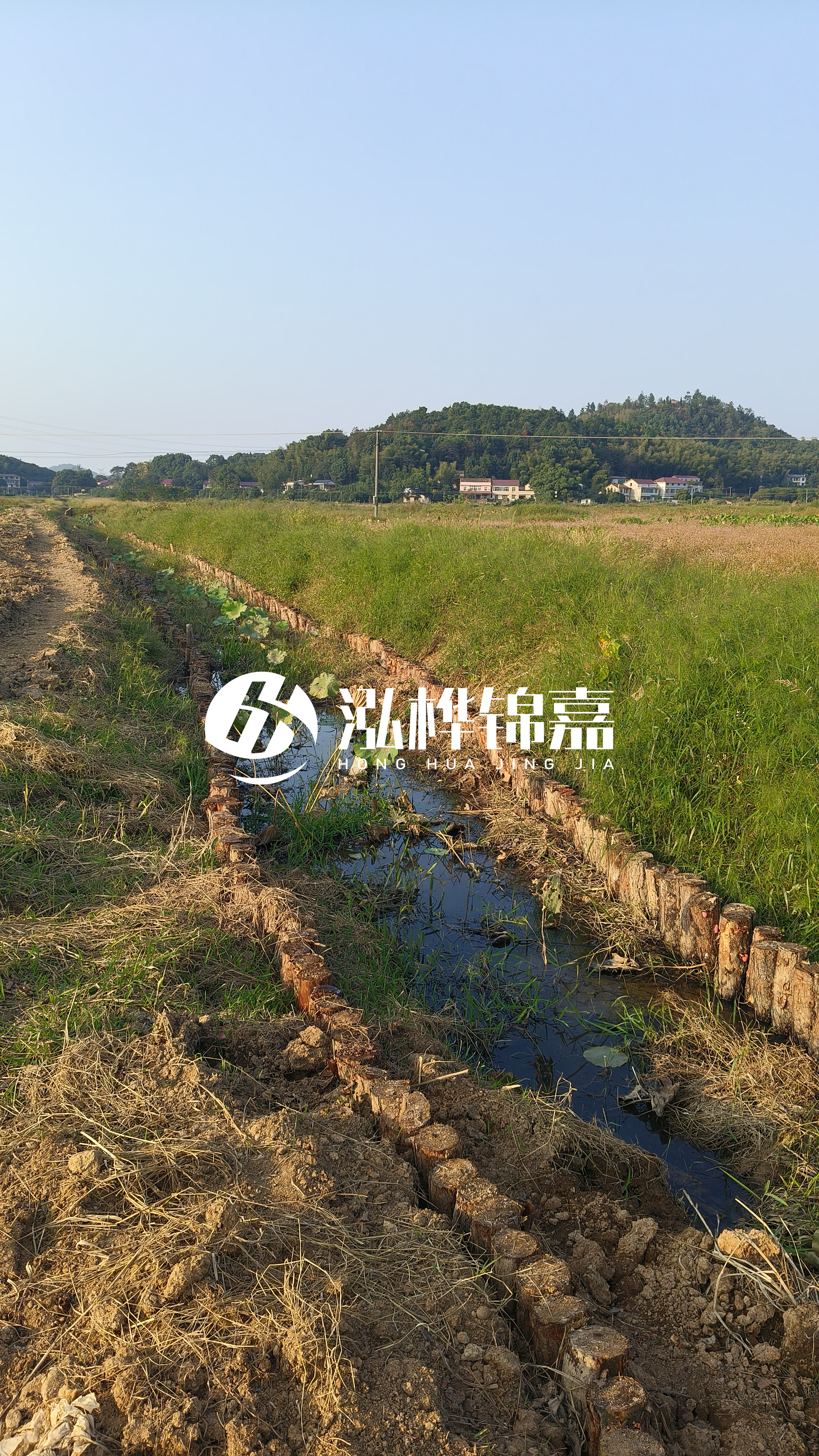 河道護坡打木樁的目的全解析：你知道幾個？