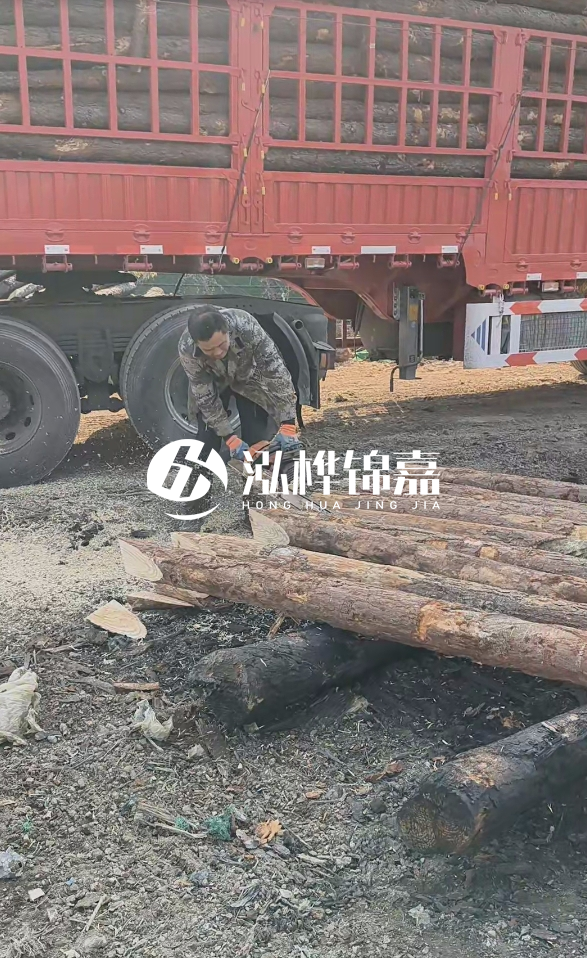 2米松木樁多少錢一根？15-20CM直徑價格是多少？