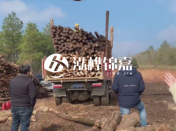 松木樁價(jià)格是按米算還是按根算？6米松木樁批發(fā)價(jià)每根多少錢？