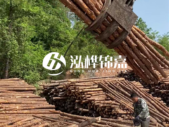 防汛木樁頂部怎么防裂？防汛木樁被洪水沖歪怎么辦？