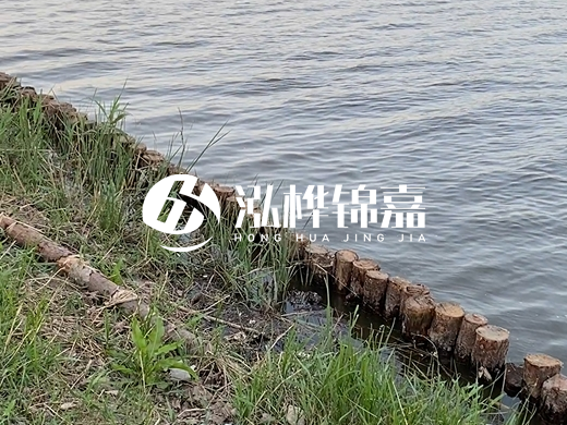防洪松木樁施工重要性？河道打木樁的位置怎么確定？