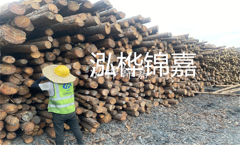 軟地基上的承重結(jié)構(gòu)基礎(chǔ)設(shè)計與施工